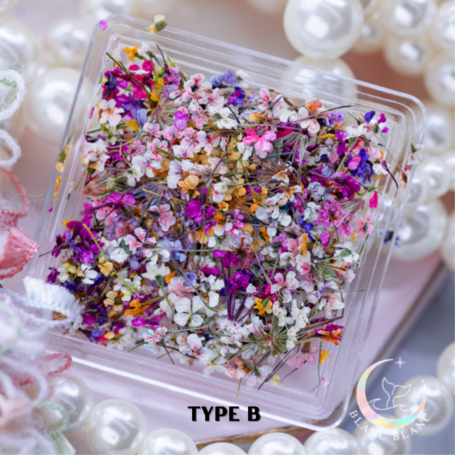 BLANC BLANC mixed dry flowers - 2 types