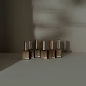EMENA x ARTIS DI VOCE Magnety flash gel - 6 colours