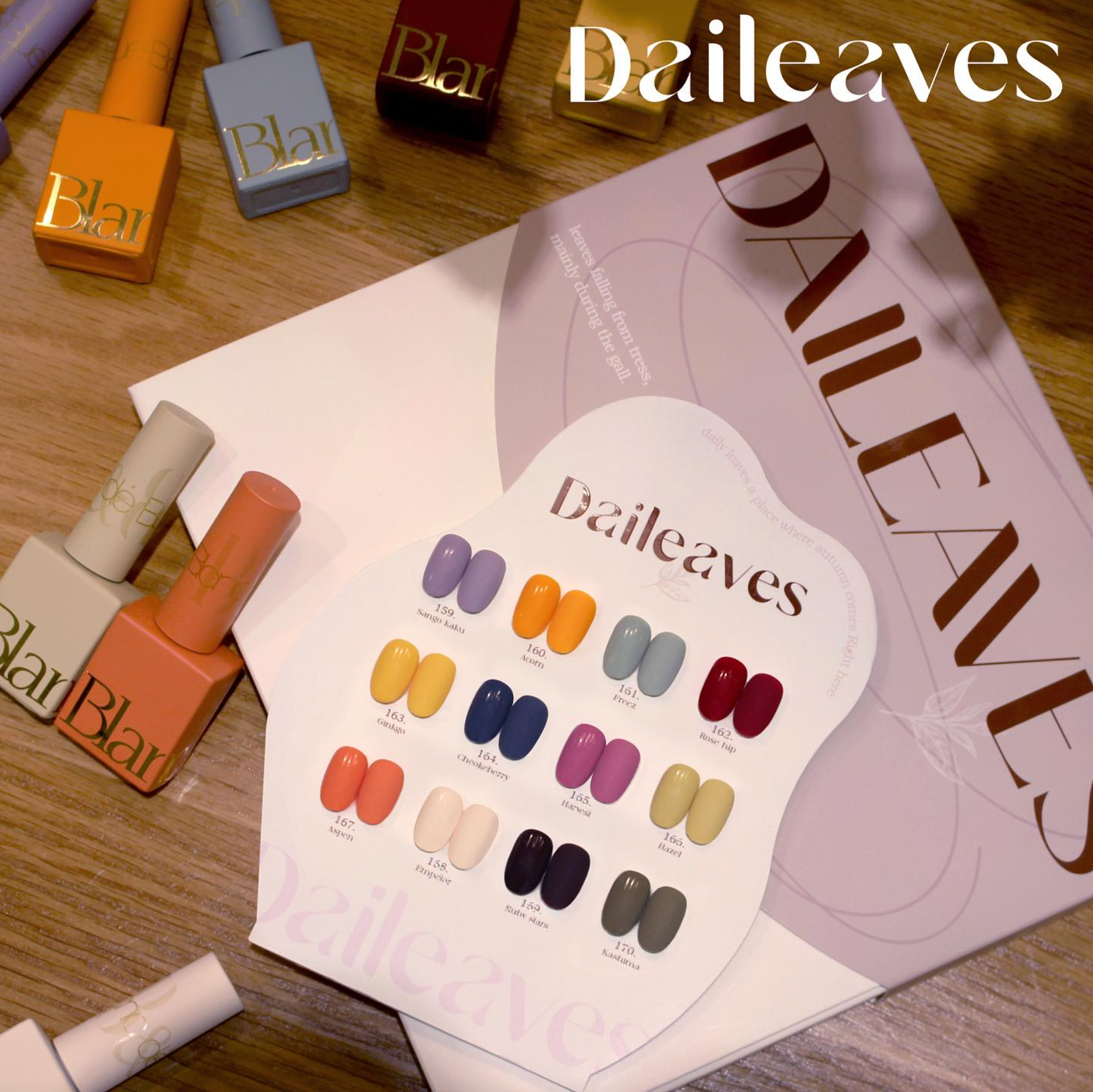 BLANC DE BLUE Daileaves 12pc collection