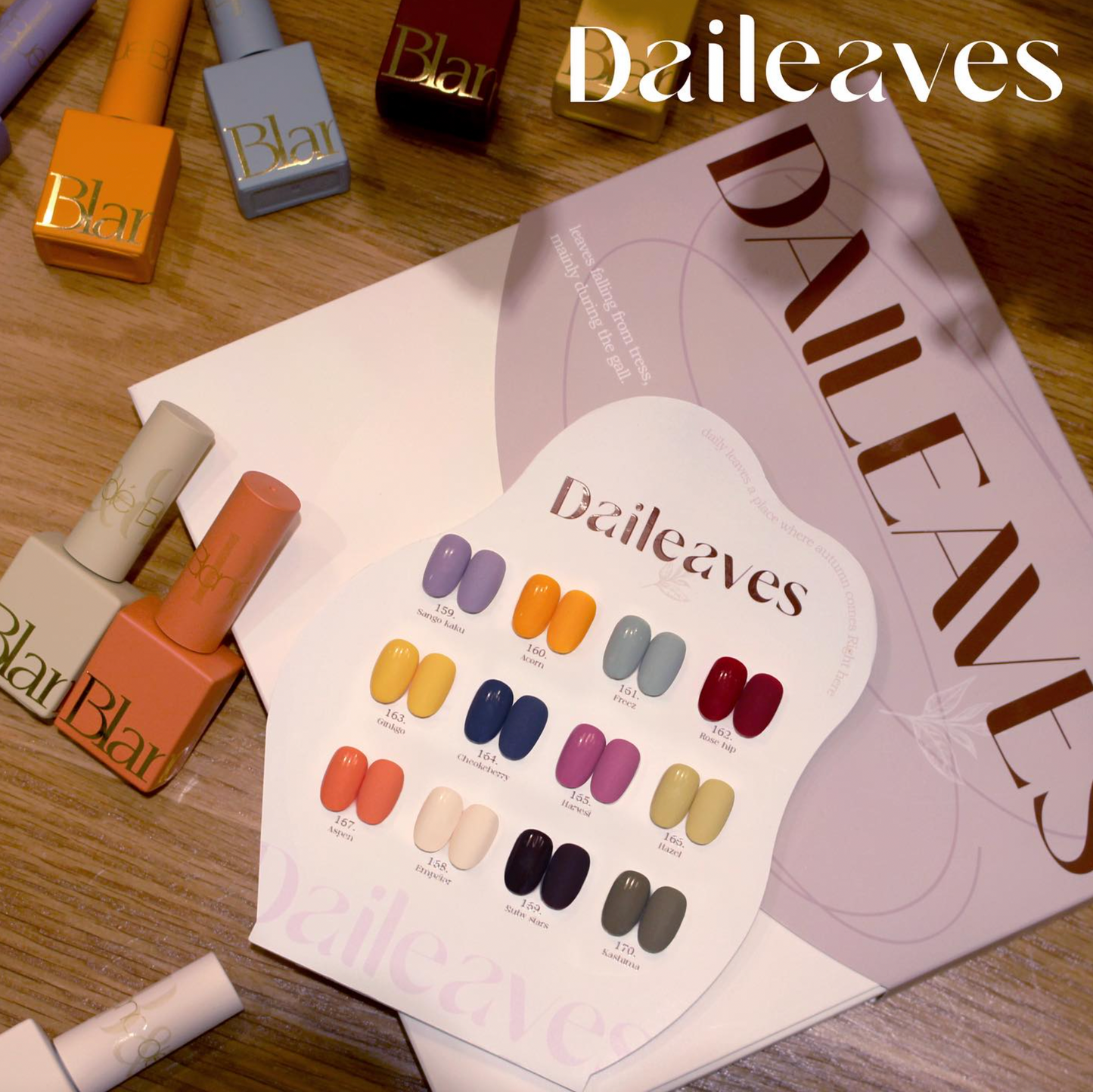 BLANC DE BLUE Daileaves 12pc collection