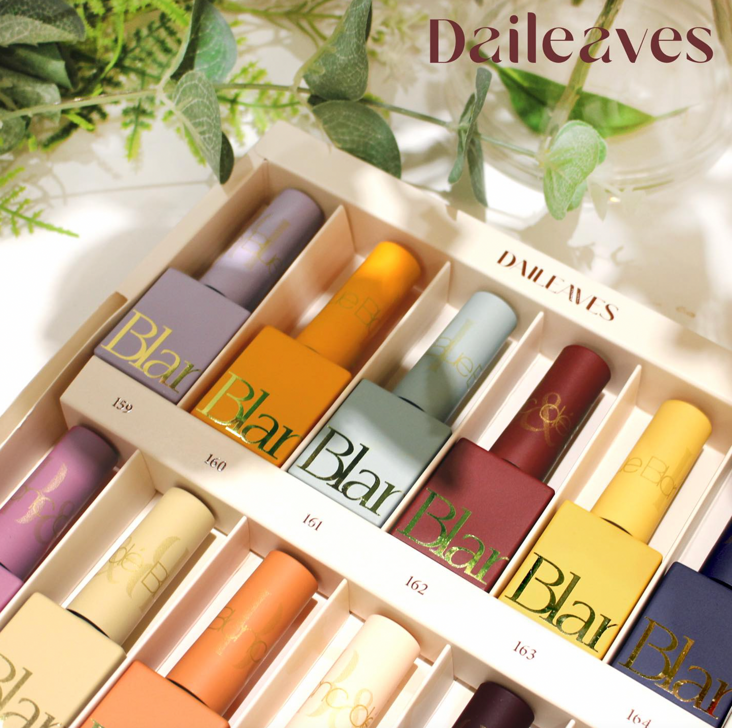 BLANC DE BLUE Daileaves 12pc collection