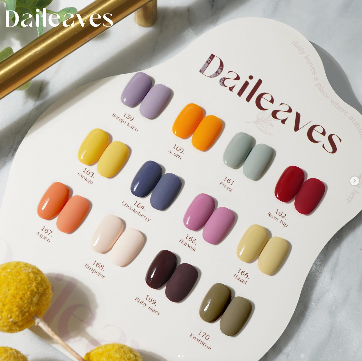 BLANC DE BLUE Daileaves 12pc collection