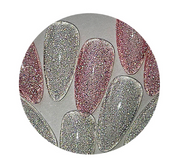 DIAMI BB Pop - Lolli pang pang (2pc set) | 2 types