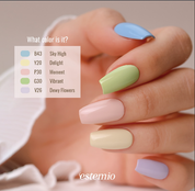 ESTEMIO La tulipe - collection/individual