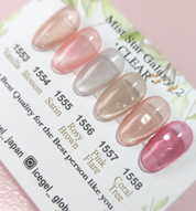 ICE GEL Mist Galaxy 2 CLEAR 6pc collection - cat eye magnetic glitter gel
