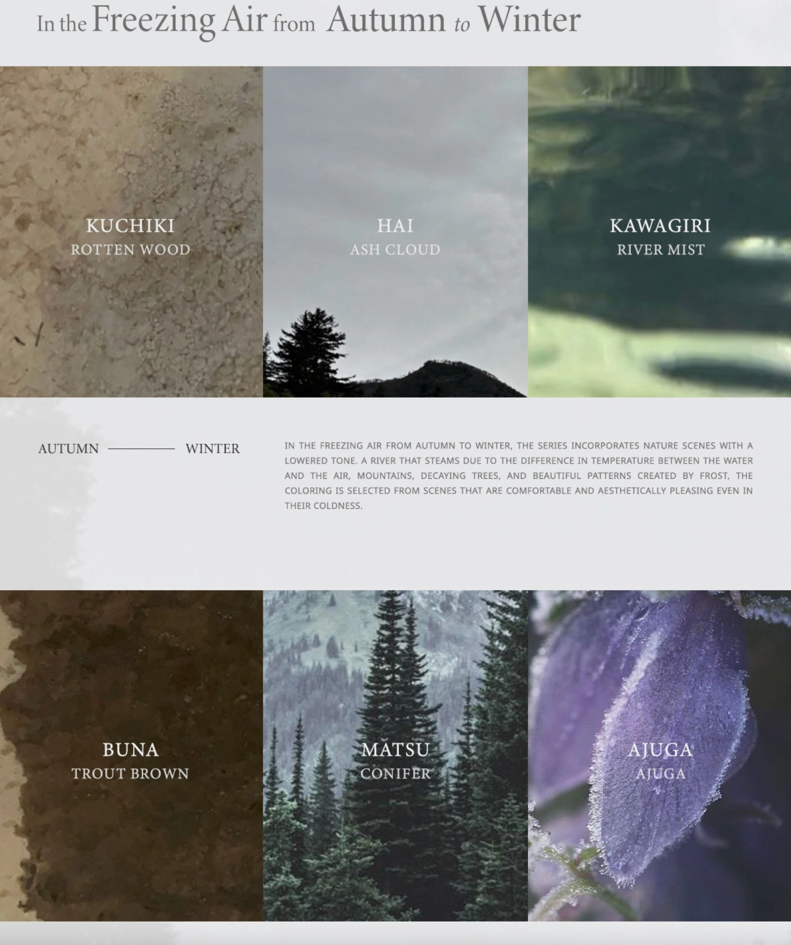 THE FAVORI × ATELIER NUI Nature edition ver.2 - SIWNIN