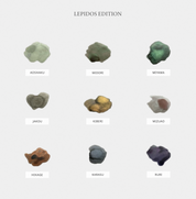 THE FAVORI × ATELIER NUI Lepidos edition