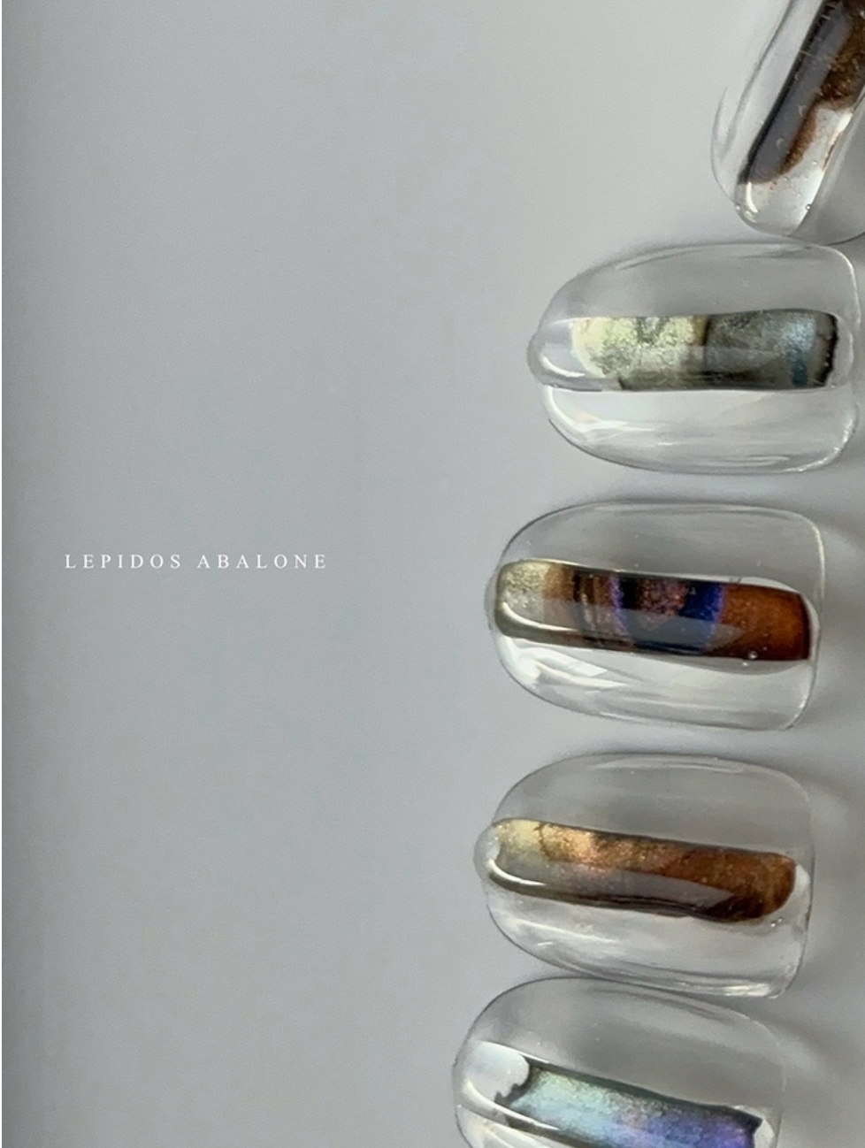 THE FAVORI × ATELIER NUI Lepidos edition