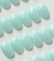 FIOTE Dive 6pc collection + 2 FREE GIFTS