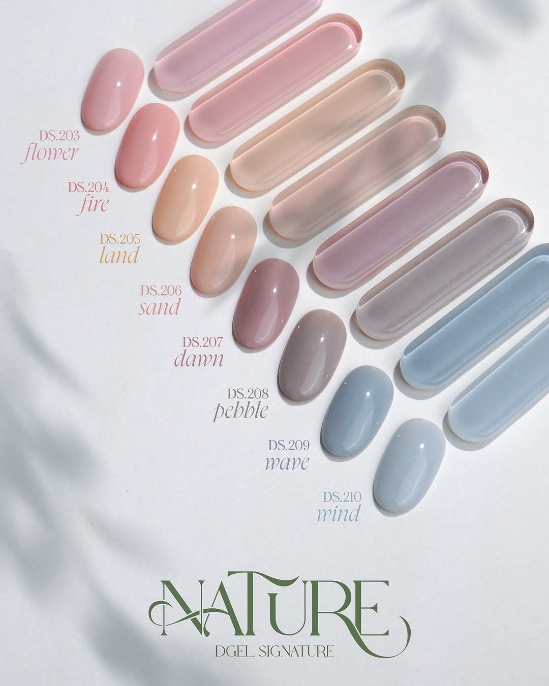DGEL Signature Nature