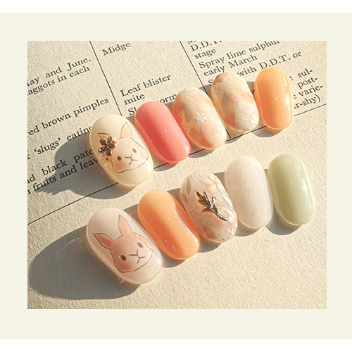 FIOTE Bunny Bunny