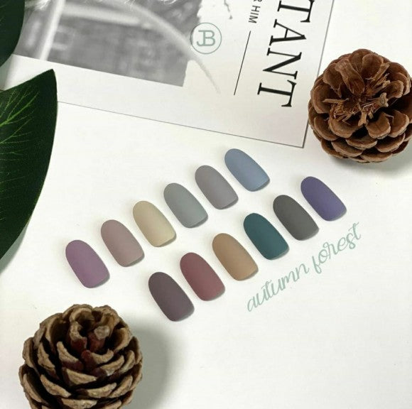 JIN.B Autumn forest 12pc collection