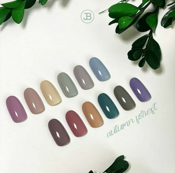 JIN.B Autumn forest 12pc collection