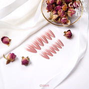 Diami CANOE Gra tips pre-ombre soft gel extensions - Pink brown & blue gray NEW