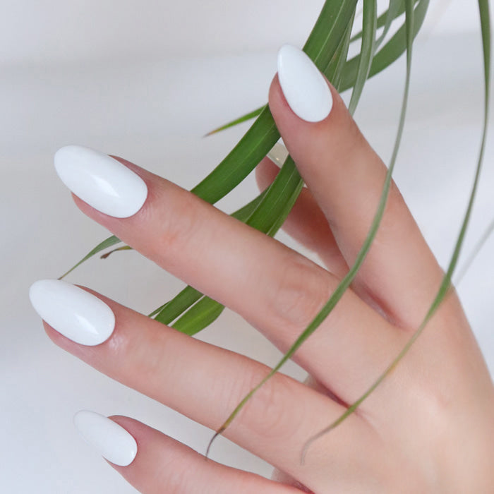 MAYOUR No. 01 white