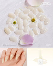 DIAMI Rose Fa-de 10pc collection