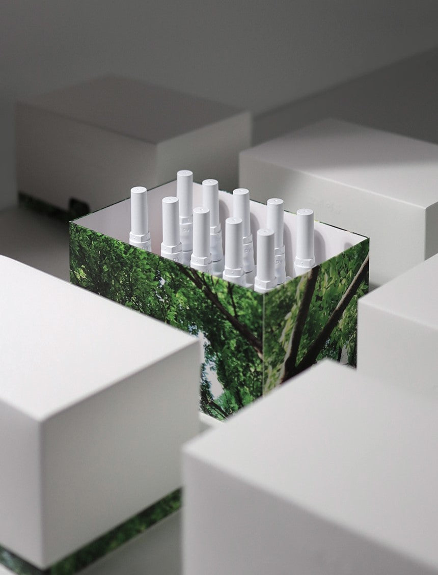 DVOK Once in a Summer Season 1