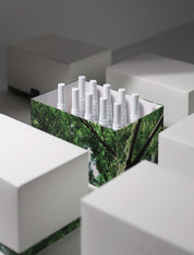 DVOK Once in a Summer Season 1