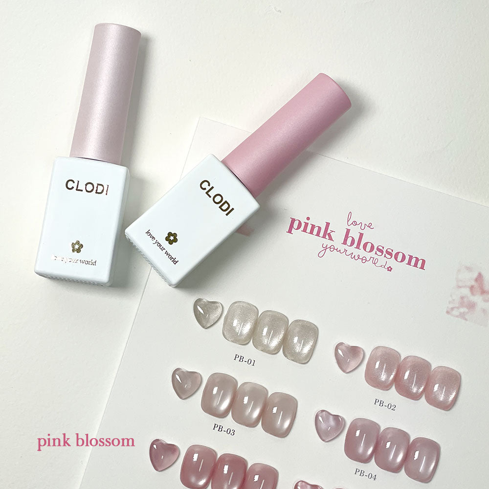 CLODI Pink blossom 6pc collection