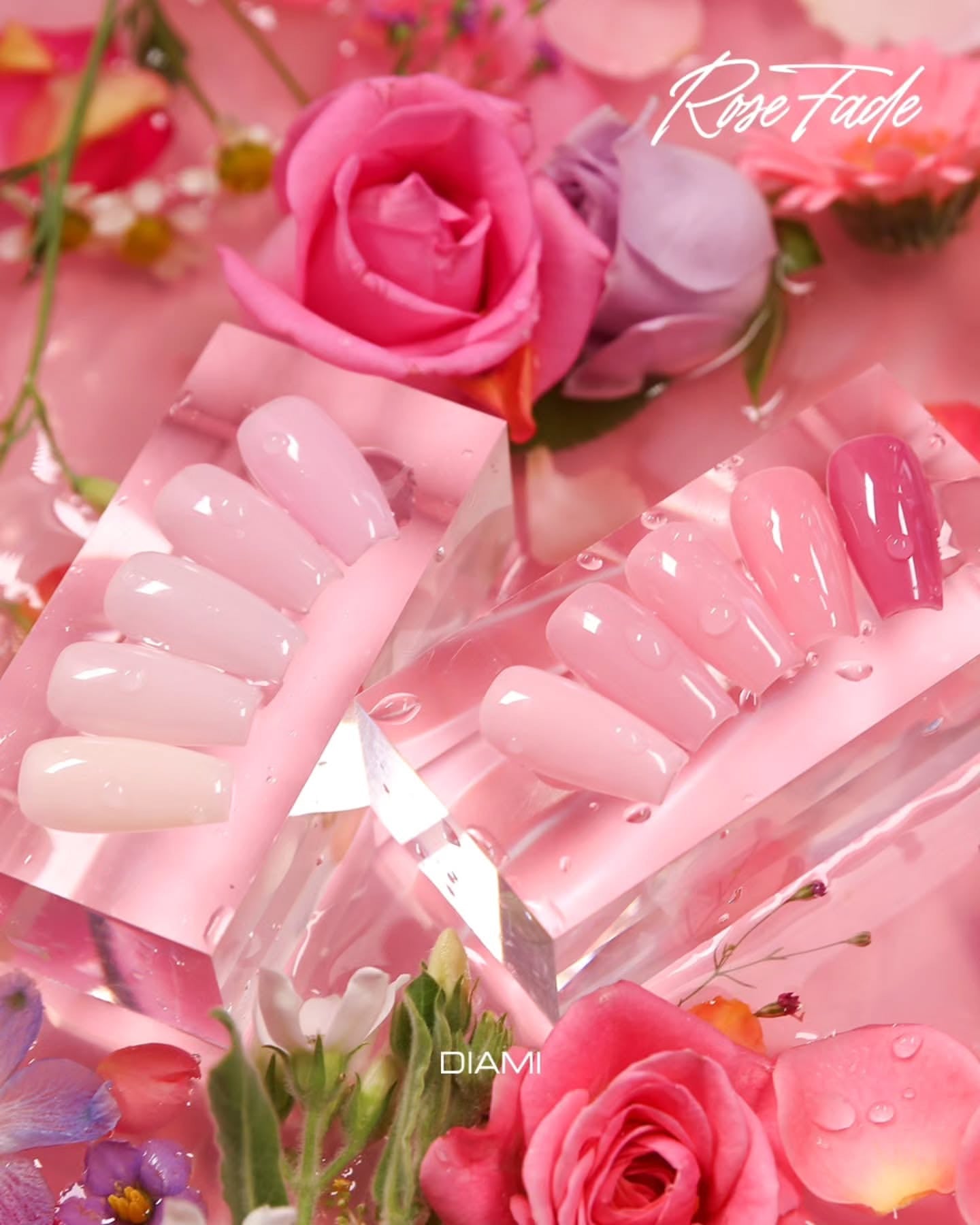 DIAMI Rose Fa-de 10pc collection