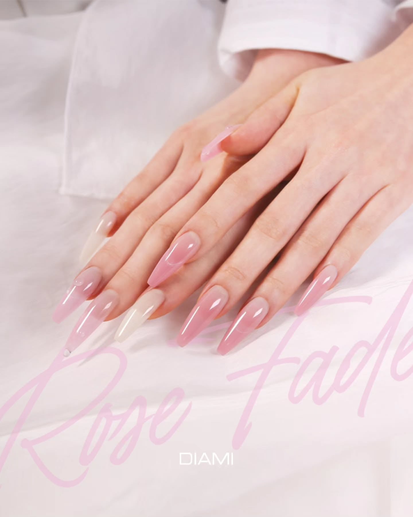 DIAMI Rose Fa-de 10pc collection