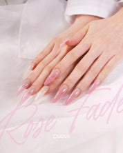DIAMI Rose Fa-de 10pc collection