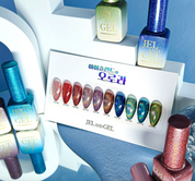 JEL and GEL Iceland's aurora 10pc collection - holographic magnetic gel