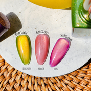 JEL and GEL Special fruits magnetic