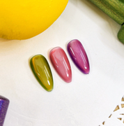 JEL and GEL Special fruits magnetic