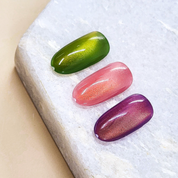 JEL and GEL Special fruits magnetic