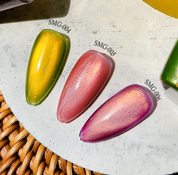 JEL and GEL Special fruits magnetic