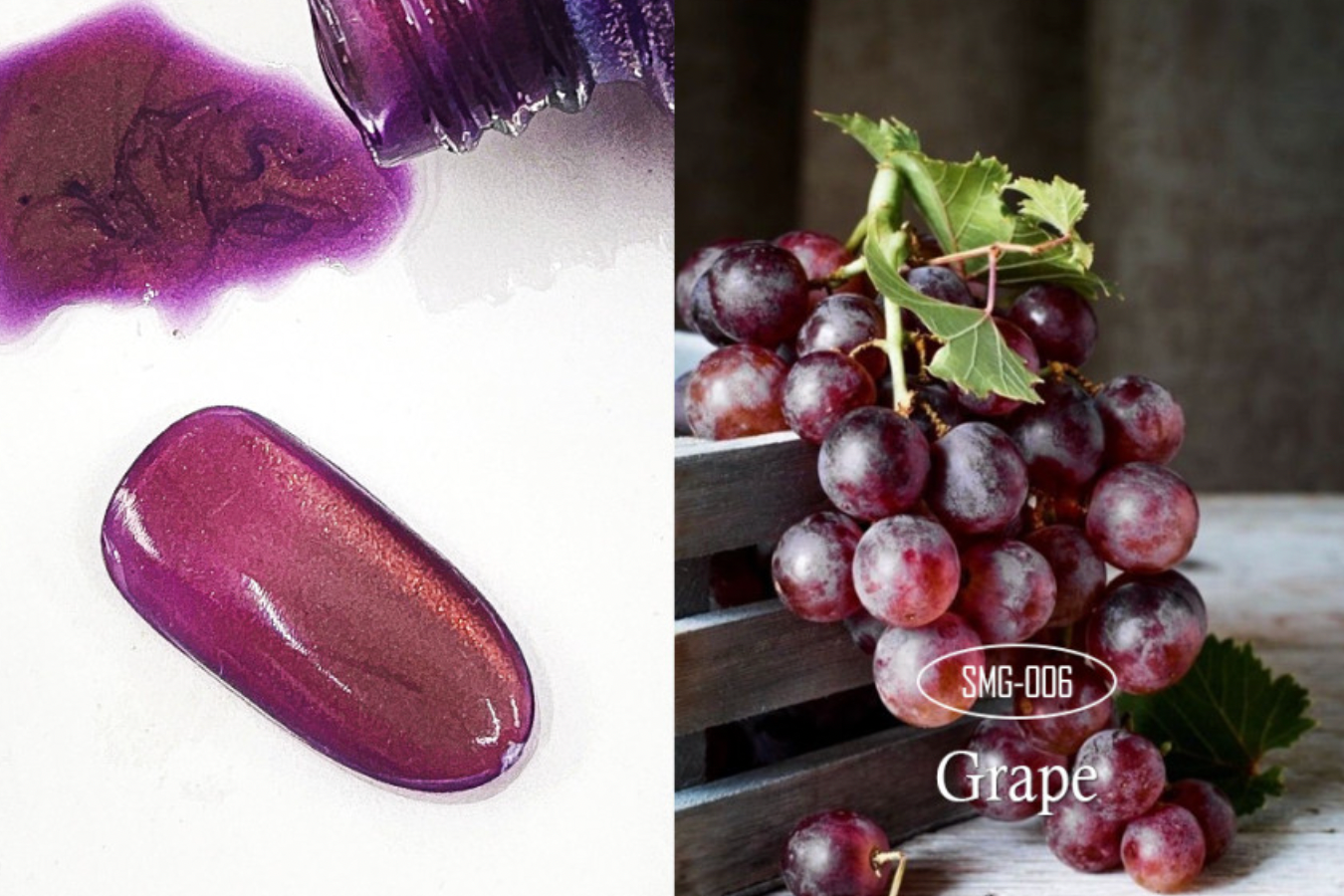 JEL and GEL Special fruits magnetic