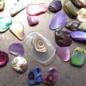 YOLOBITCH Natural shell mix