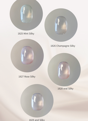 ICE GEL Silky Gel Star galaxy