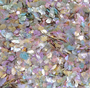 YOLOBITCH Petal shell glitter mix