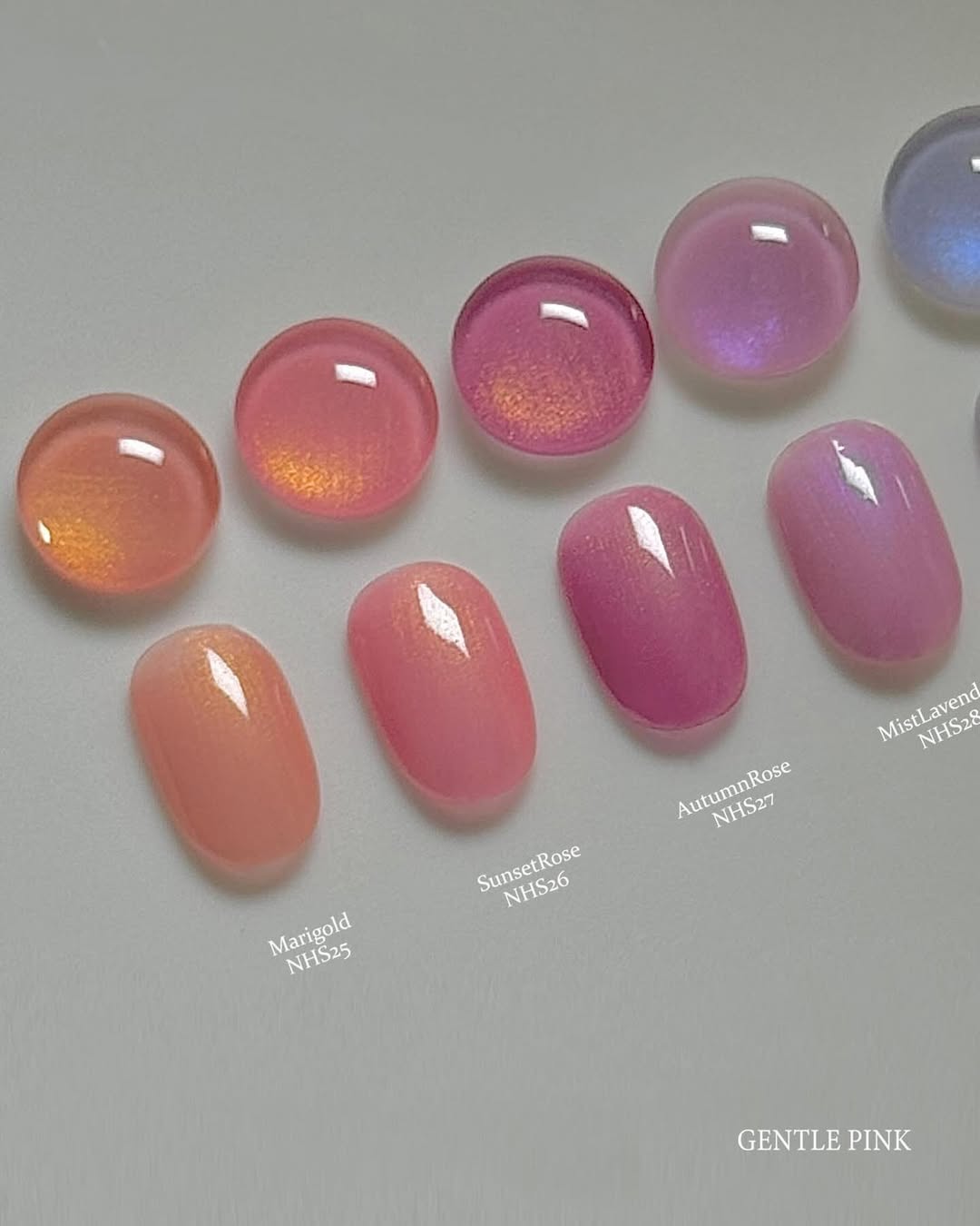 GENTLE PINK Dreamy 12pc collection + FREE GIFT