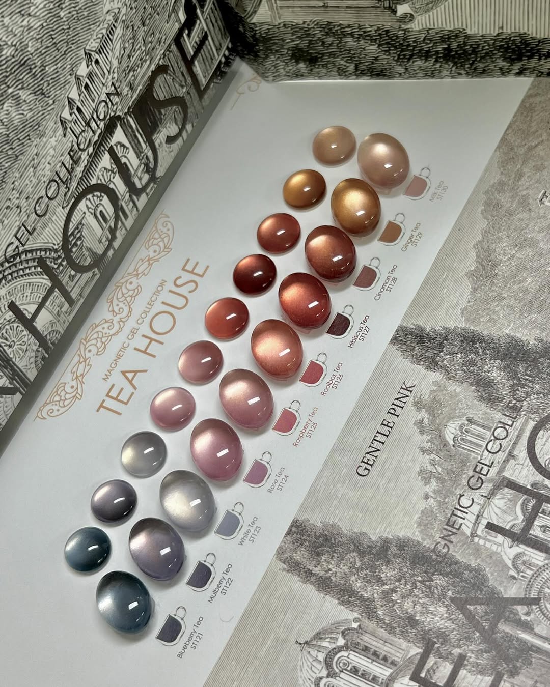 GENTLE PINK Tea house 10pc collection