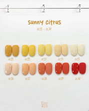 EEEYA Favorite 100pc solid gel set