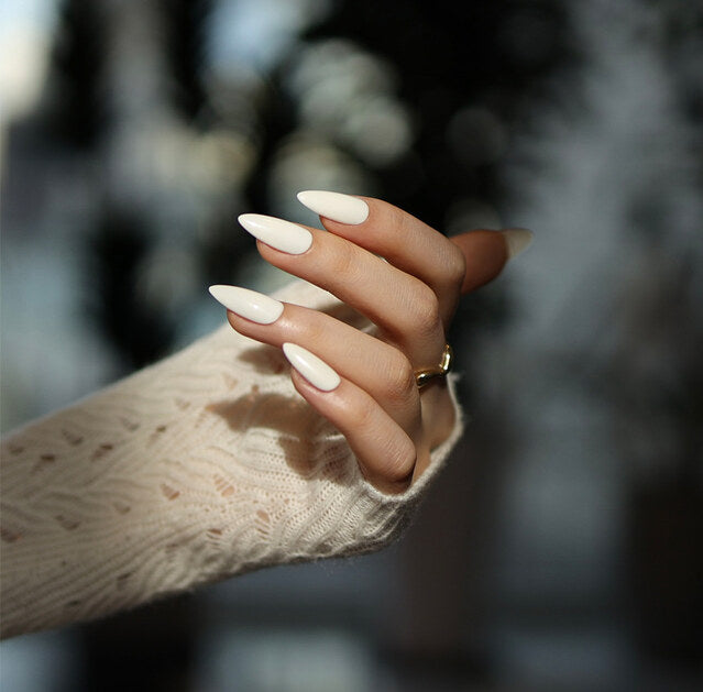 DVOK Real Ivory (DP-04)