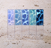 DIAMI Shine your light - Clair & Oasis 10pc set + FREE GIFT