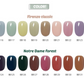 DIAMI BB POP Notre damn forest 8pc collection