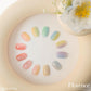 BLANC DE BLUE Florence 12pc syrup collection